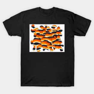 Tiger Squiggles T-Shirt